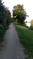 Bord de Seine à Carrières